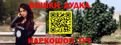 эйфоретик Ачхой-Мартан