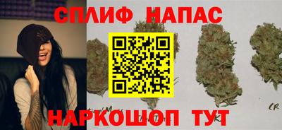 эйфоретик Ачхой-Мартан