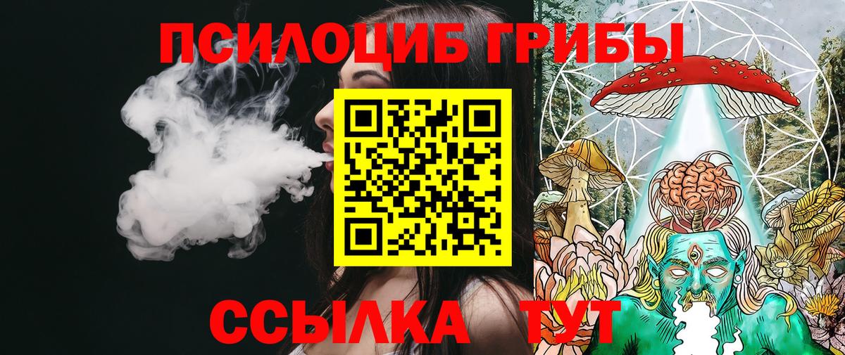 Псилоцибиновые грибы Psilocybine cubensis Пыть-Ях